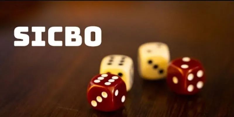 Thuật ngữ thường được sử dụng khi chơi Sicbo Thuật ngữ thường được sử dụng khi chơi Sicbo